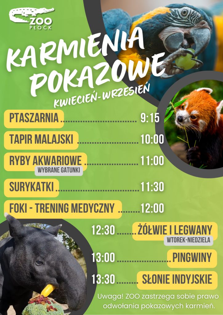 Harmonogram pokazowych karmień – lato