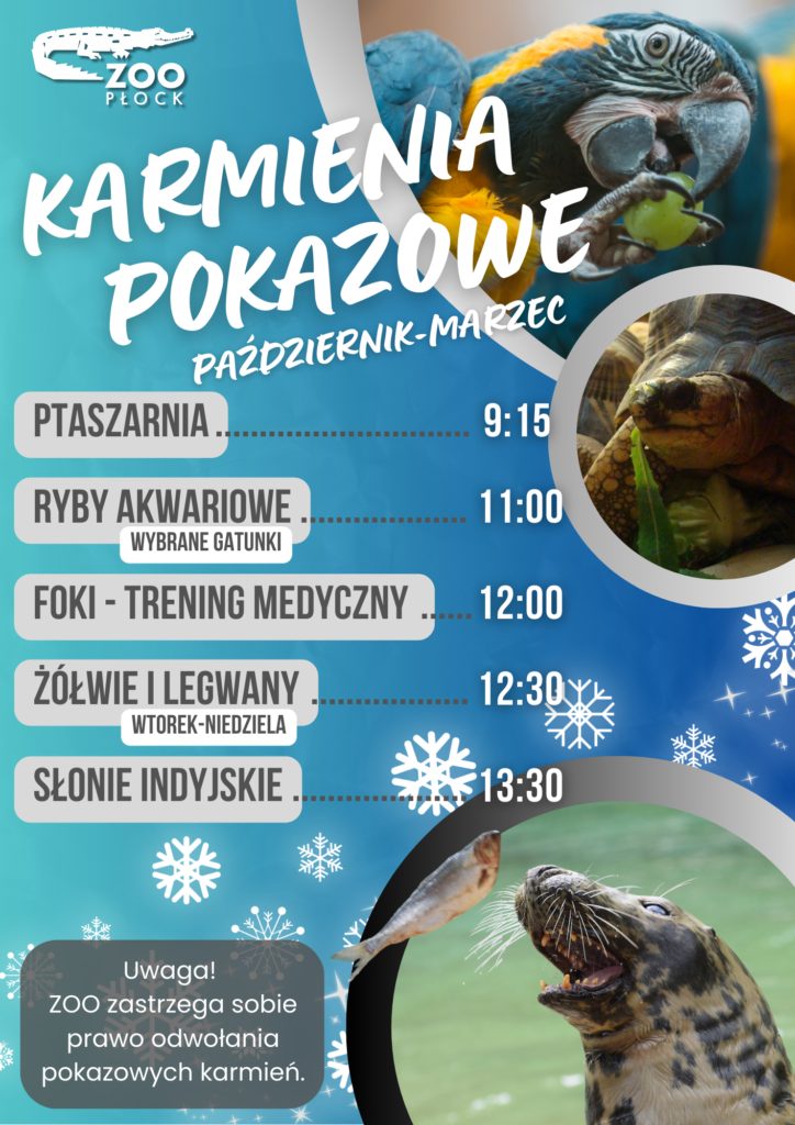 Harmonogram pokazowych karmień – zima