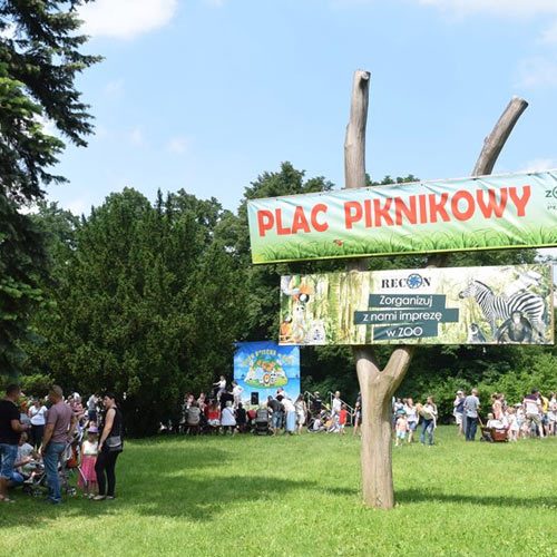 Plac piknikowy